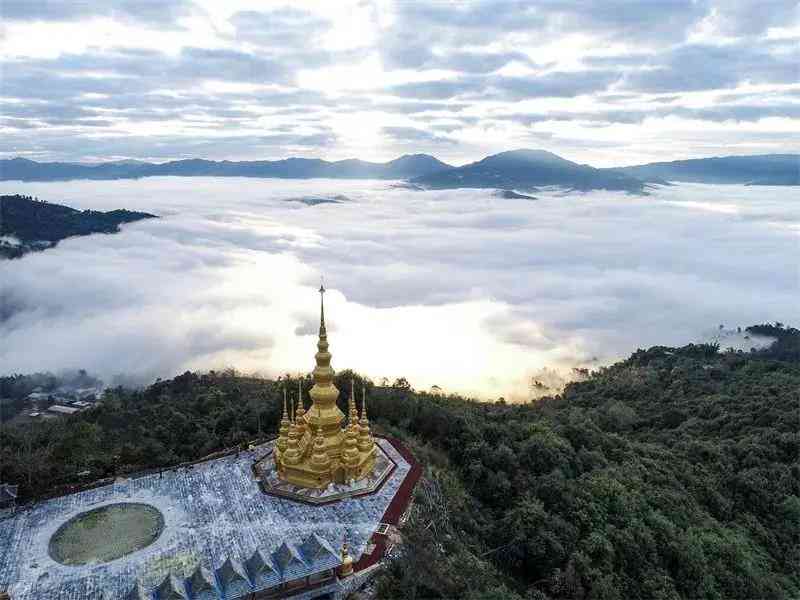 如何在冬天正确存放普洱茶饼以备饮用