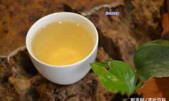 薄荷叶与纯净普洱结合，解析清新生茶的显著口感特点