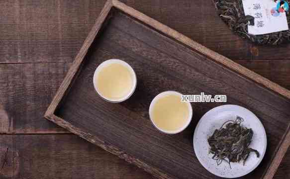 薄荷叶与纯净普洱结合，解析清新生茶的显著口感特点