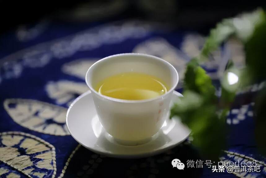 易武薄荷塘普洱茶：品质、冲泡方法与口感全方位解析