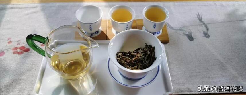 易武薄荷塘普洱茶：品质、冲泡方法与口感全方位解析