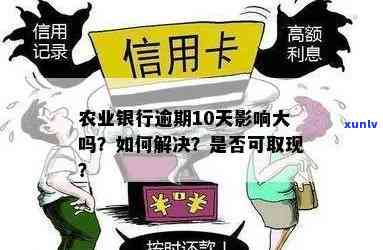 农信银行逾期一天：我应该怎么做？可能会产生什么影响？如何补救？