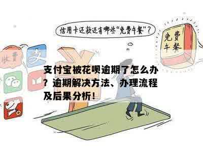 逾期花呗还款攻略：支付宝花详解及应对措