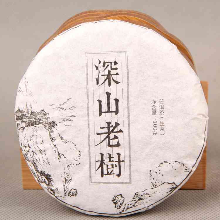 大茶厂普洱茶老树春：品质越，历厚重，品鉴与收藏的完美结合