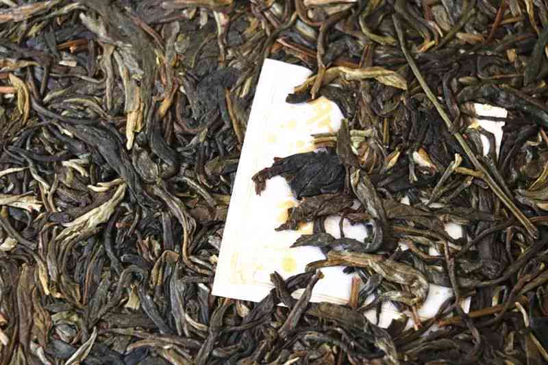 大茶厂普洱茶老树春：品质越，历厚重，品鉴与收藏的完美结合