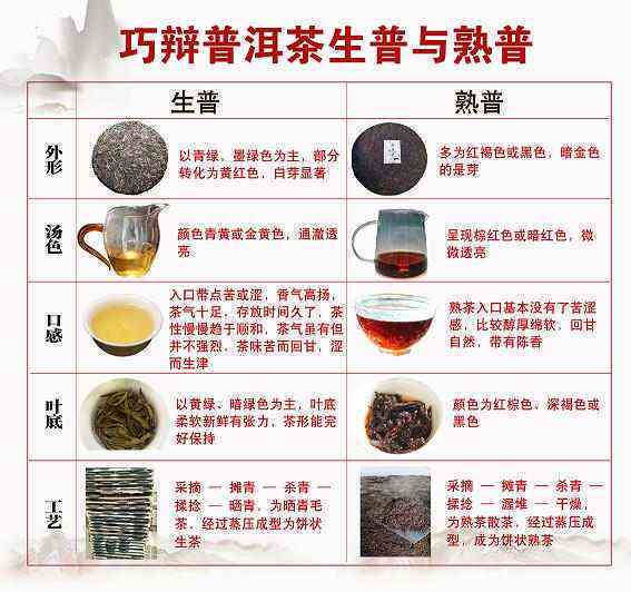 小提和普洱茶的关系