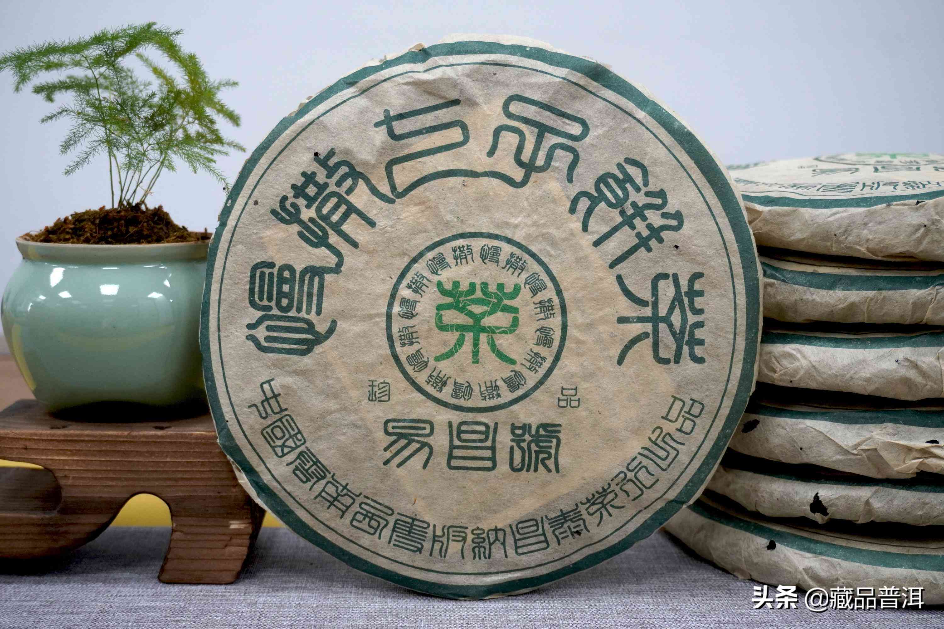 普洱茶适合普通人饮用吗？如何选择和品饮普洱茶以避免不良反应？