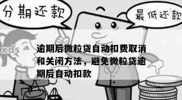 微粒贷逾期关闭零钱自动扣款功能，请提供解决方案。