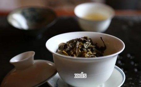 探究陈年普洱茶的独特冲泡技巧与时间因素