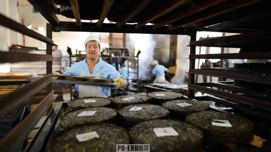 勐海普洱茶加工定制厂家