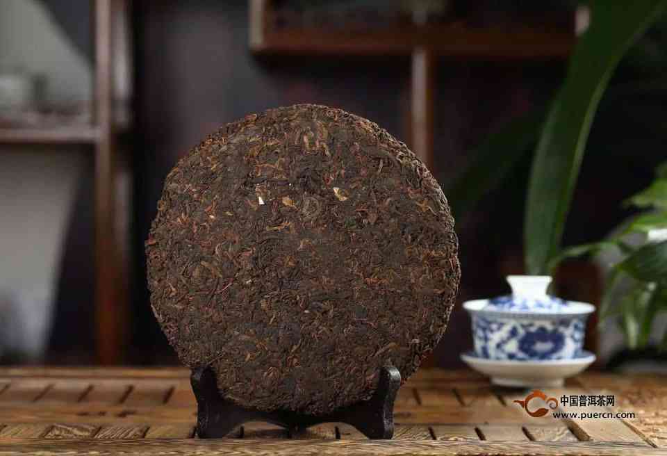 茶熟普洱茶饼哪款好喝