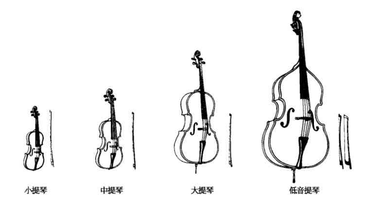 中提与小提：音色、演奏技巧及尺寸的比较分析