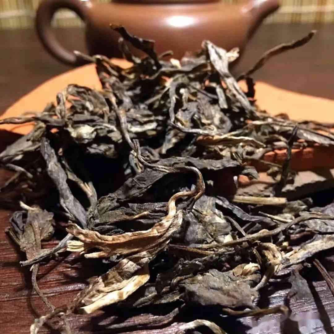 冰岛特有种普洱茶树的生长环境及其独特风味探析