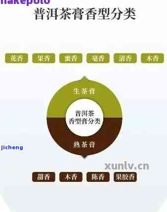 普洱茶各产地区别：口感、品种与特色介绍