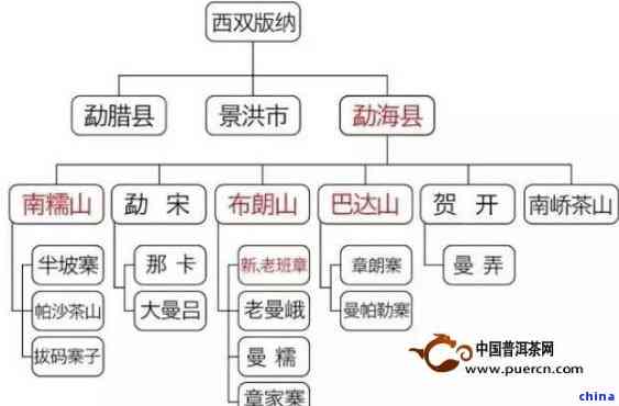 普洱茶各产地区别：口感、品种与特色介绍