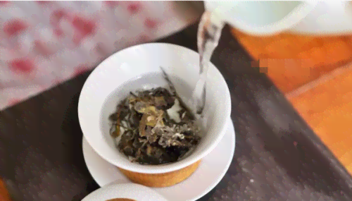 生的普洱茶怎么泡好喝呢