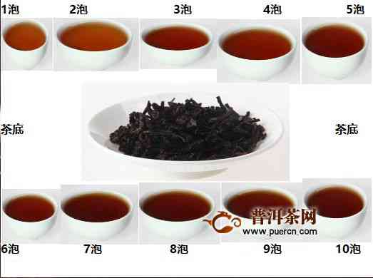 普洱茶价格区间：班章茶每斤多少钱？如何挑选性价比高的普洱茶？