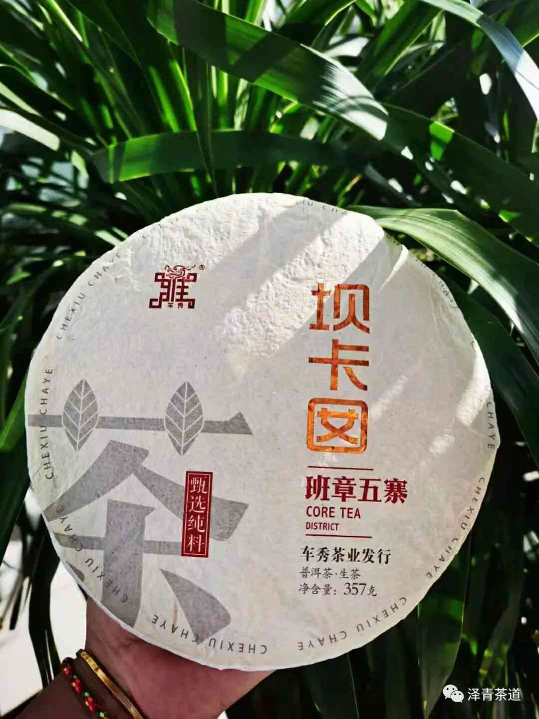 普洱茶为什么好：渣少浓稠不苦，泡法关键