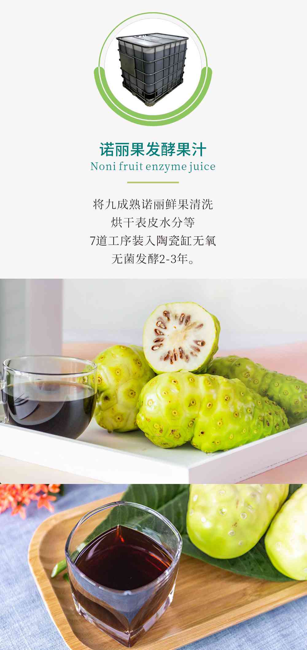 专研普洱茶诺丽果酵素