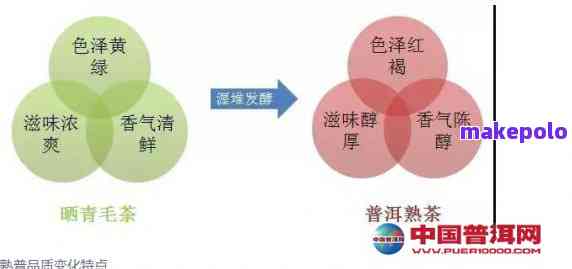 普洱茶的科学存：全方位解析与实践指南