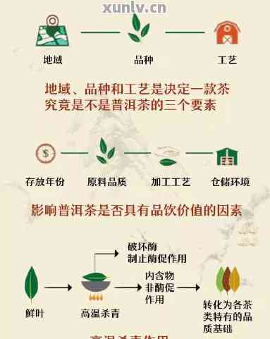 普洱茶的科学存：全方位解析与实践指南