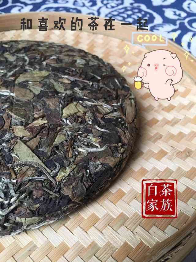 普洱茶与白茶：两种茶叶的不同之处及如何制作白茶