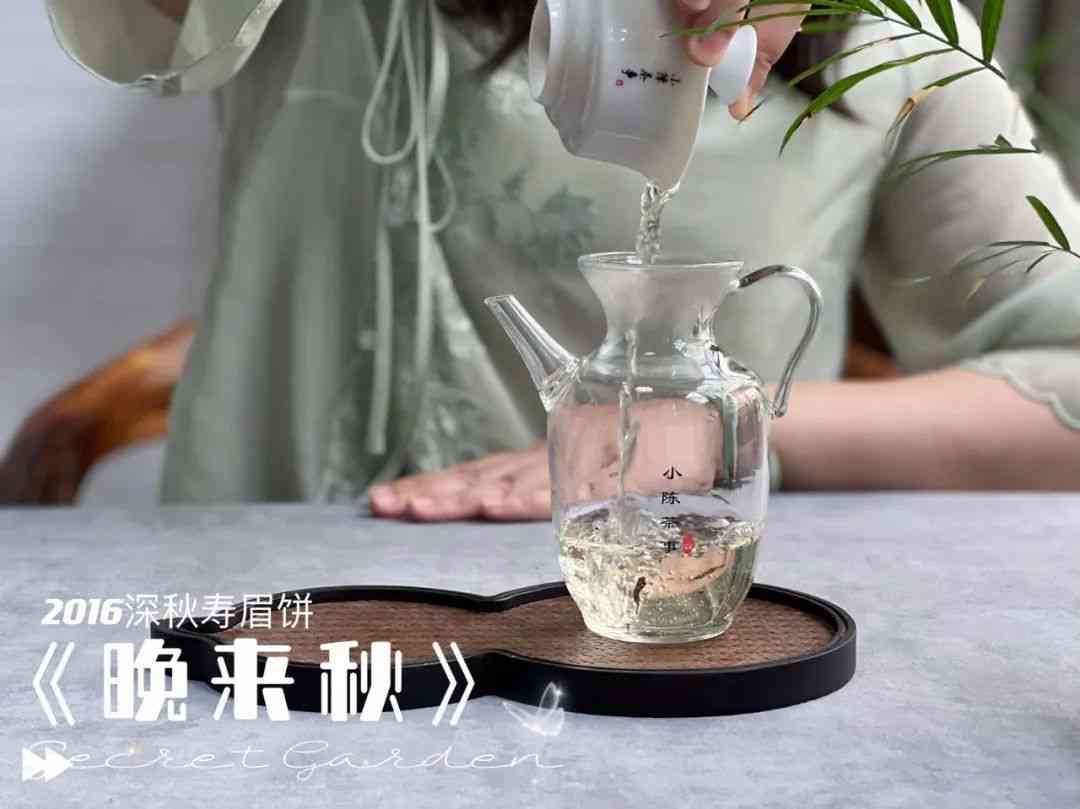 普洱茶白茶加工几天能喝