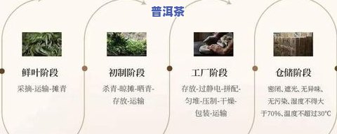 普洱茶的八大代表种类及其独特功效详解：从医生的角度出发