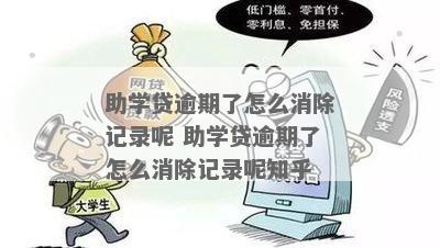 修复助学贷款逾期记录的有效方法与注意事项