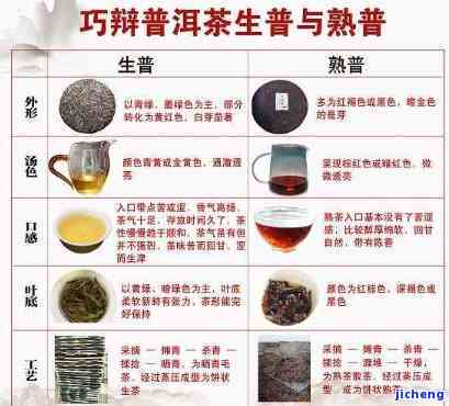 深入解析普洱茶原料的级别划分，揭示区别与品质的关键因素