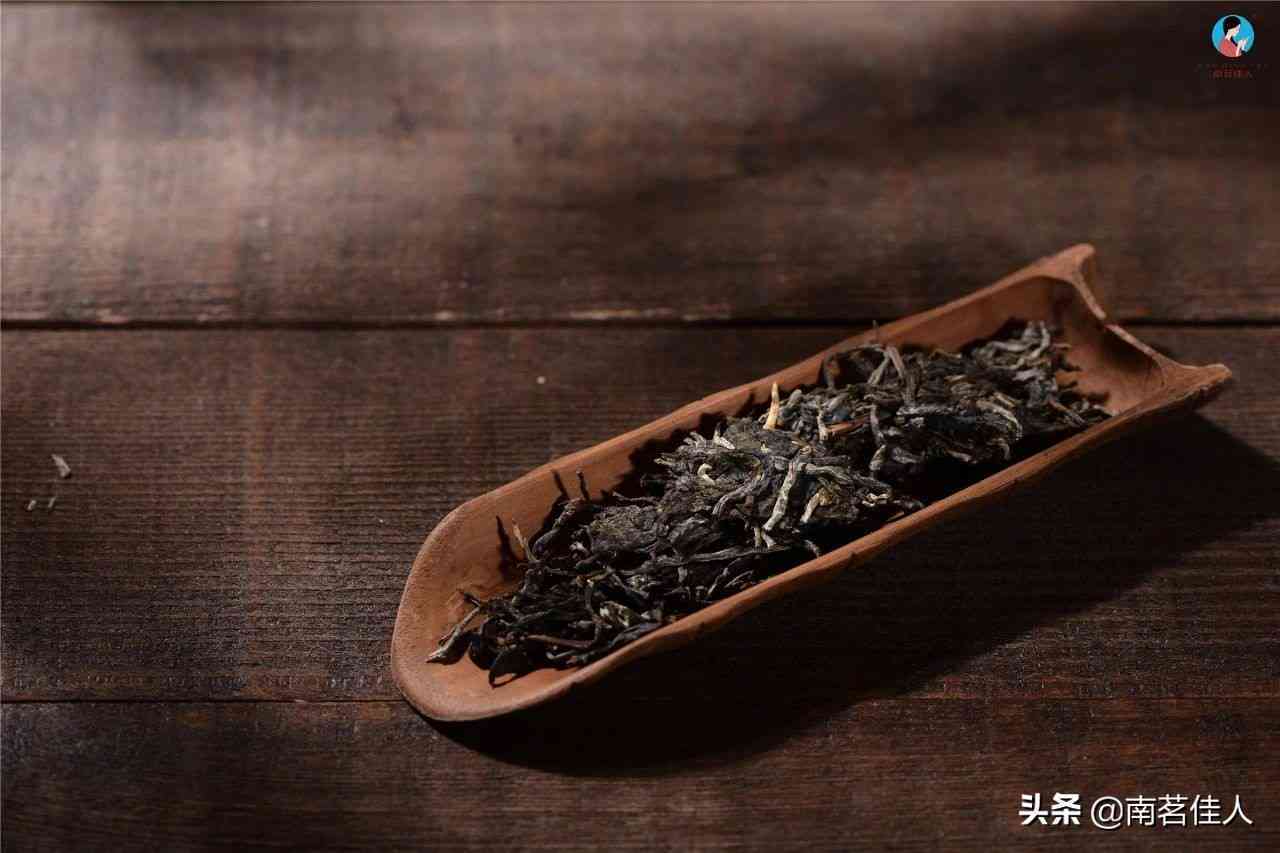 普洱茶碎末能喝吗？怎么喝才好喝？