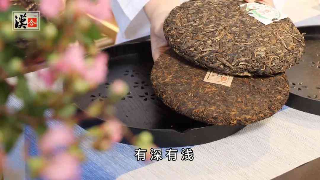 探索普洱茶：从产地到品种，了解其独特魅力与品饮技巧