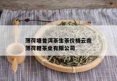 薄荷塘普洱茶批发价格与优质货源分析