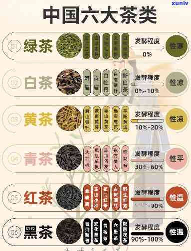 氏普洱茶：深入解析六大茶系，品味不同口感的普洱茶世界