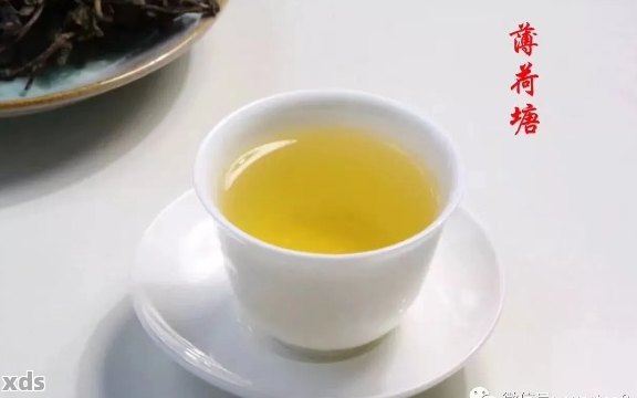 薄荷糖普洱茶：价格、口味、功效与泡法全方位解析