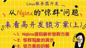 氏普洱茶全系列品种分类解析，助您深入了解各类茶叶特色