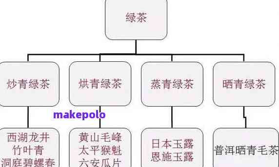 氏普洱茶全系列品种分类解析，助您深入了解各类茶叶特色