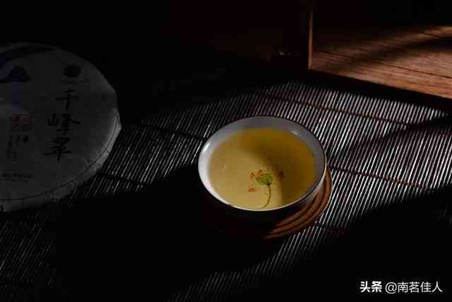 全面掌握小饼陈皮普洱茶冲泡技巧：从选茶到泡法，让你品味更完美！