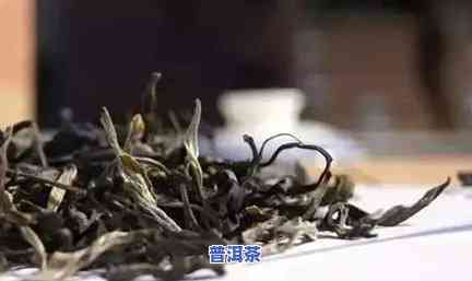 探索普洱茶条索的魅力与特点：如何全面了解普洱茶的品质？