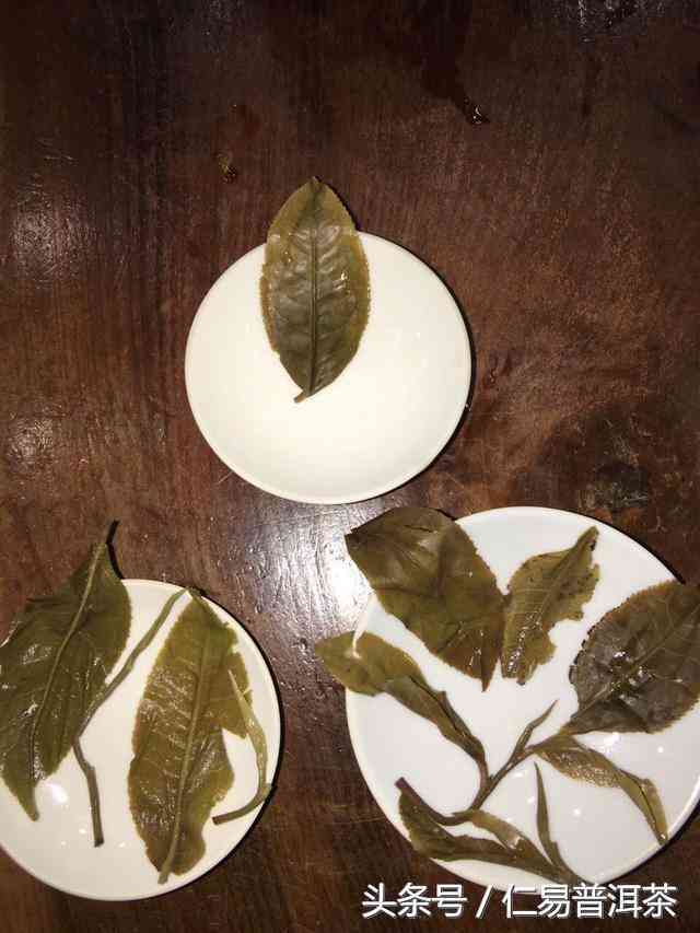 牛皮菜根普洱茶专卖店：提供优质茶叶与健生活方式的选择