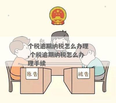 个税逾期去税务大厅办理需要什么资料