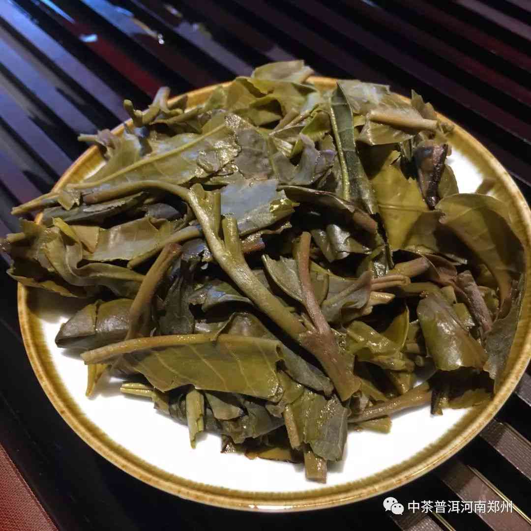 河南地区优质普洱茶推荐与品鉴