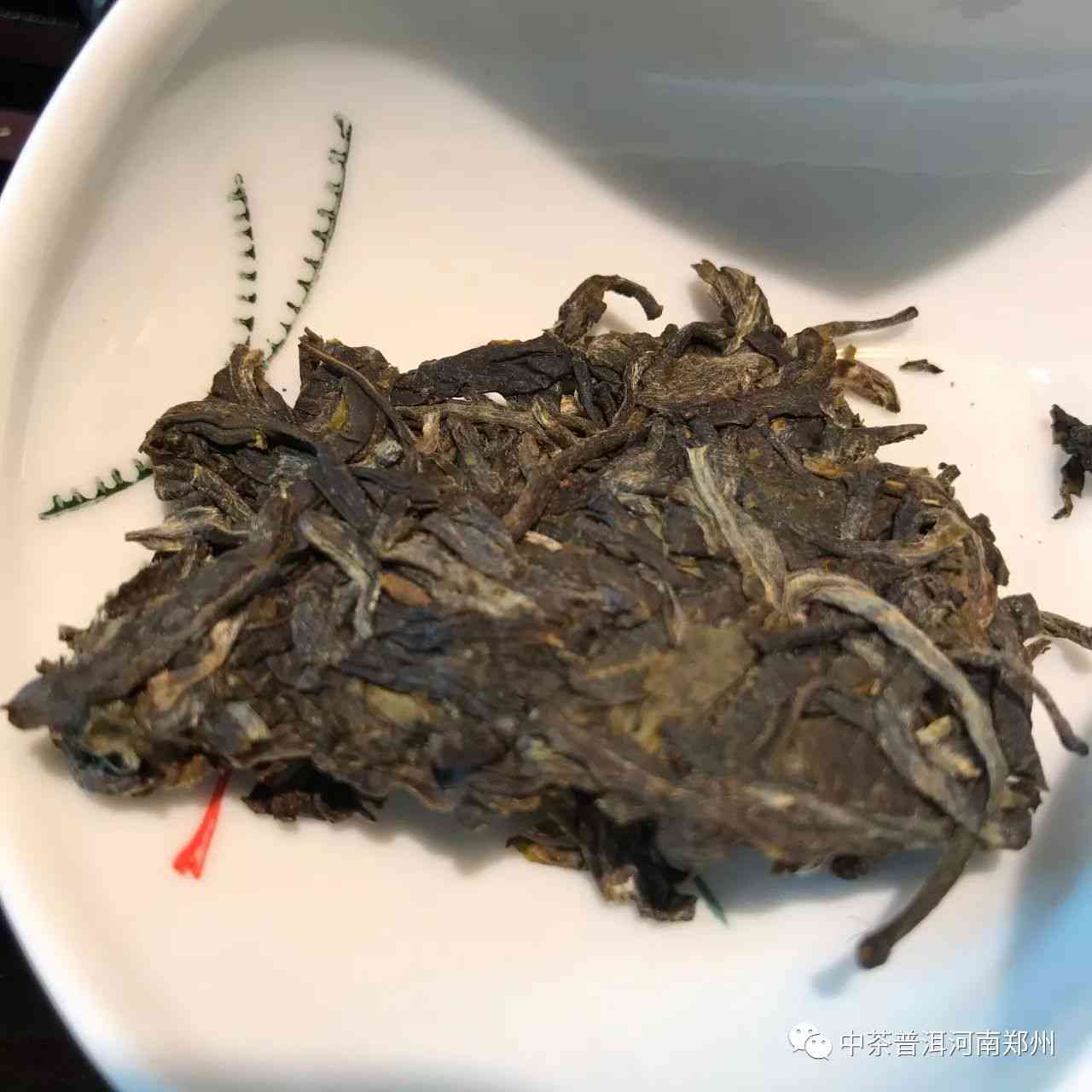 河南地区优质普洱茶推荐与品鉴