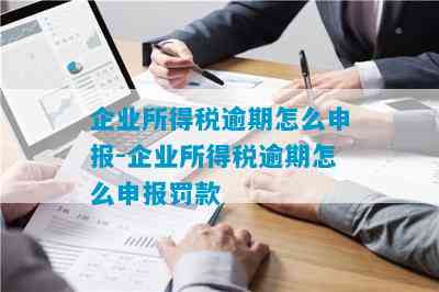 浙江省税务局详解逾期企业税务申报处理技巧与应对策略