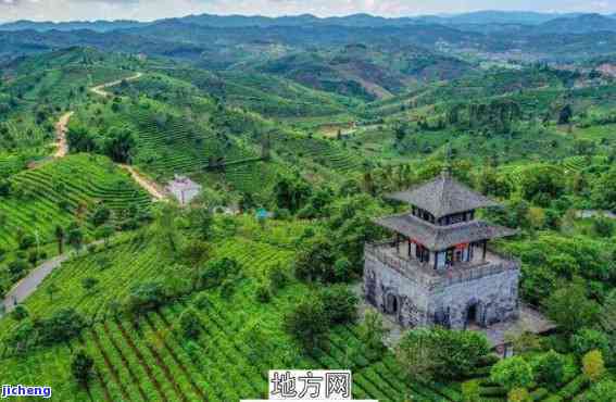 普洱茶博览园游览时间：合适、合适和逛完的建议。