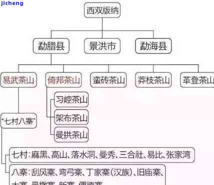 云南勐海泰茶业生产的鸿泰普洱茶的产地与品质详解