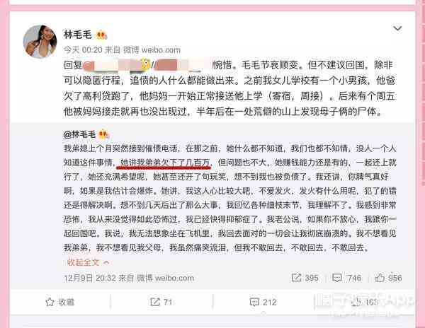 美团逾期案件开庭全过程揭秘：用户如何应对、法律后果及可能的解决方案