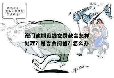 逾期罚款拘留：没钱怎么办？