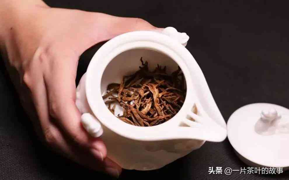 普洱茶韵的解释和意思