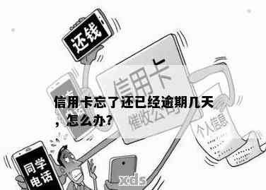 信用卡逾期5天还款被忘记怎么办？全面解决逾期还款问题的指南